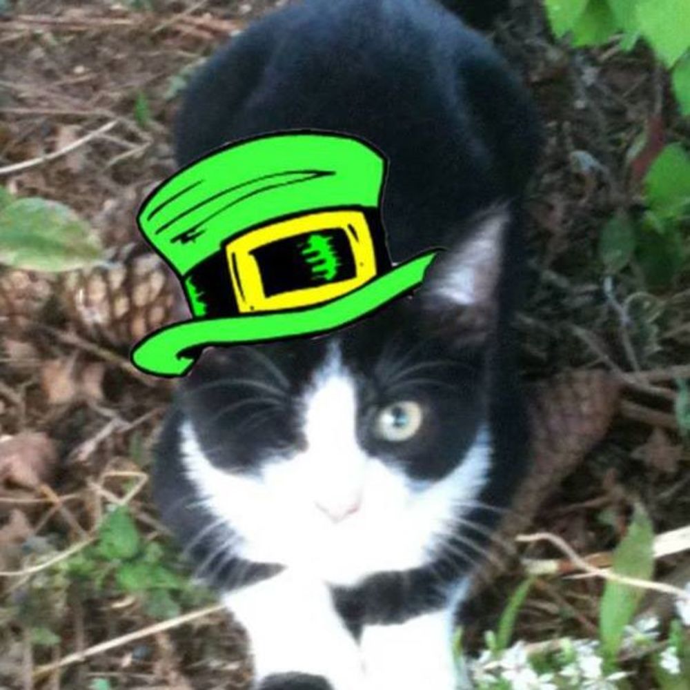 Meet your Posher, Monica